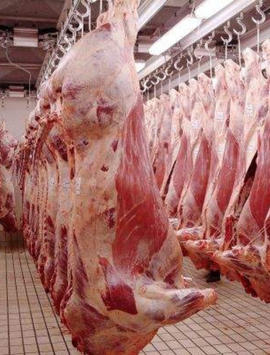 Découvrez les meilleures techniques d’abattage et de découpe pour transformer votre viande en produits de qualité et rentables.