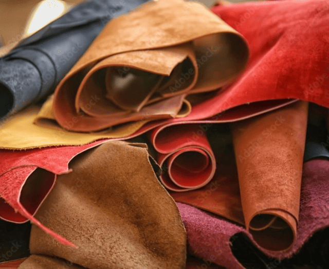 Transformation de Cuirs, Peaux & Phanères