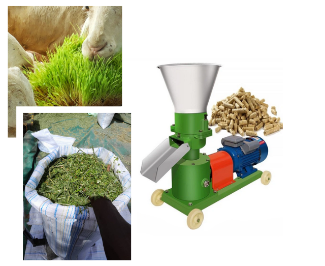 Production et transformation de fourrages