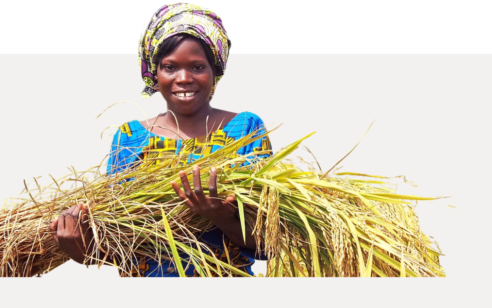 centre de ressource(1)