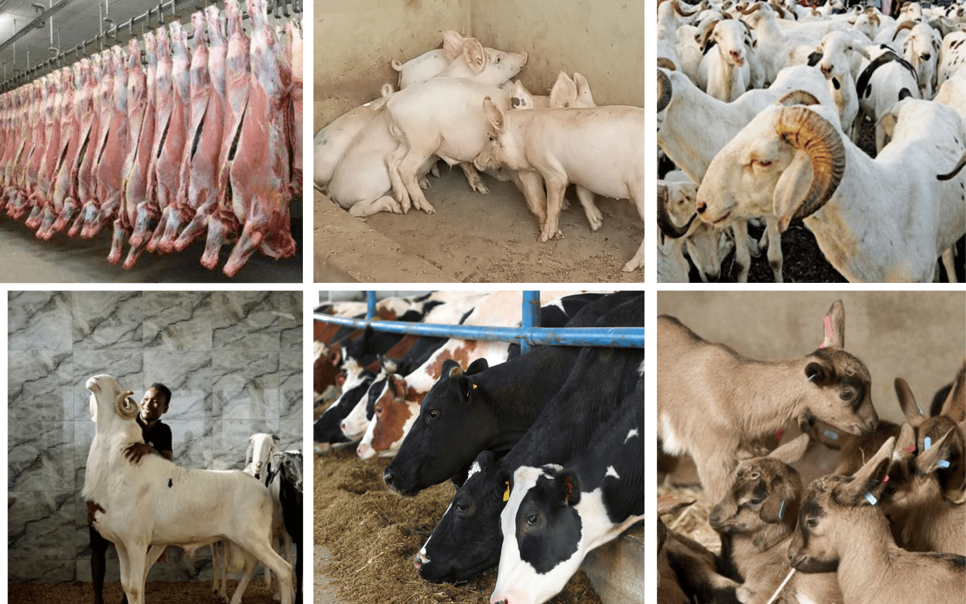 site FOnstab (1920 x 1200 px)(1)