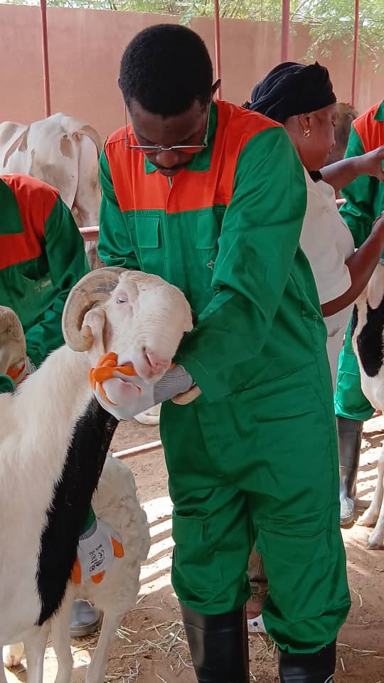 nsertion professionnelle en marche pour les jeunes de l’ISEP de Richard Toll !